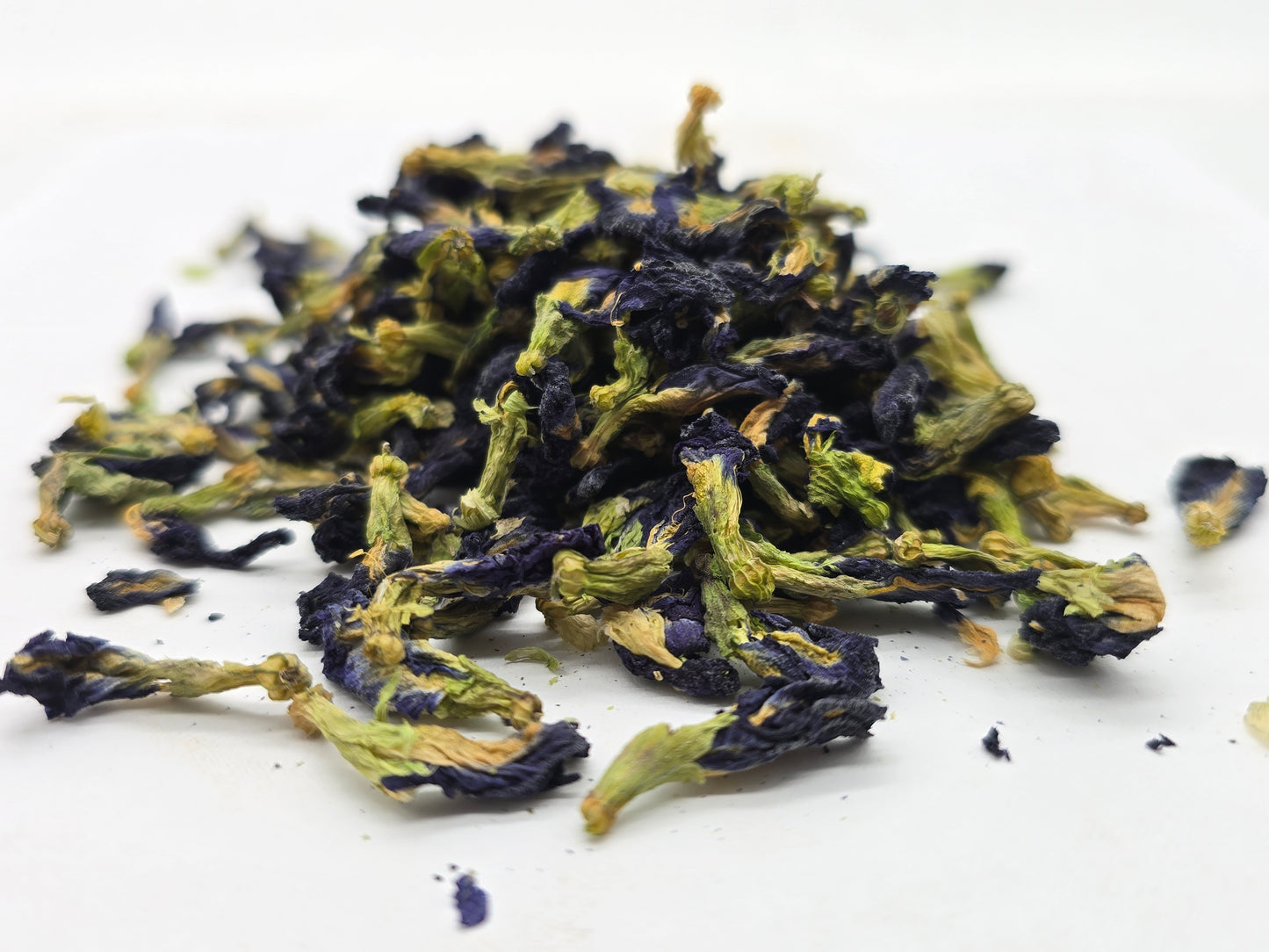 Butterfly Pea