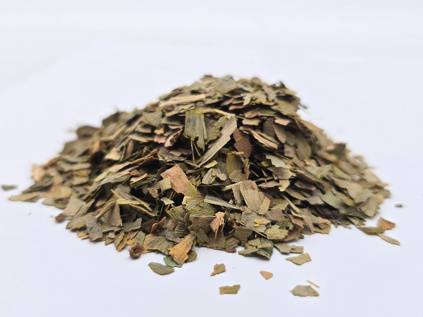 Ginkgo Leaf