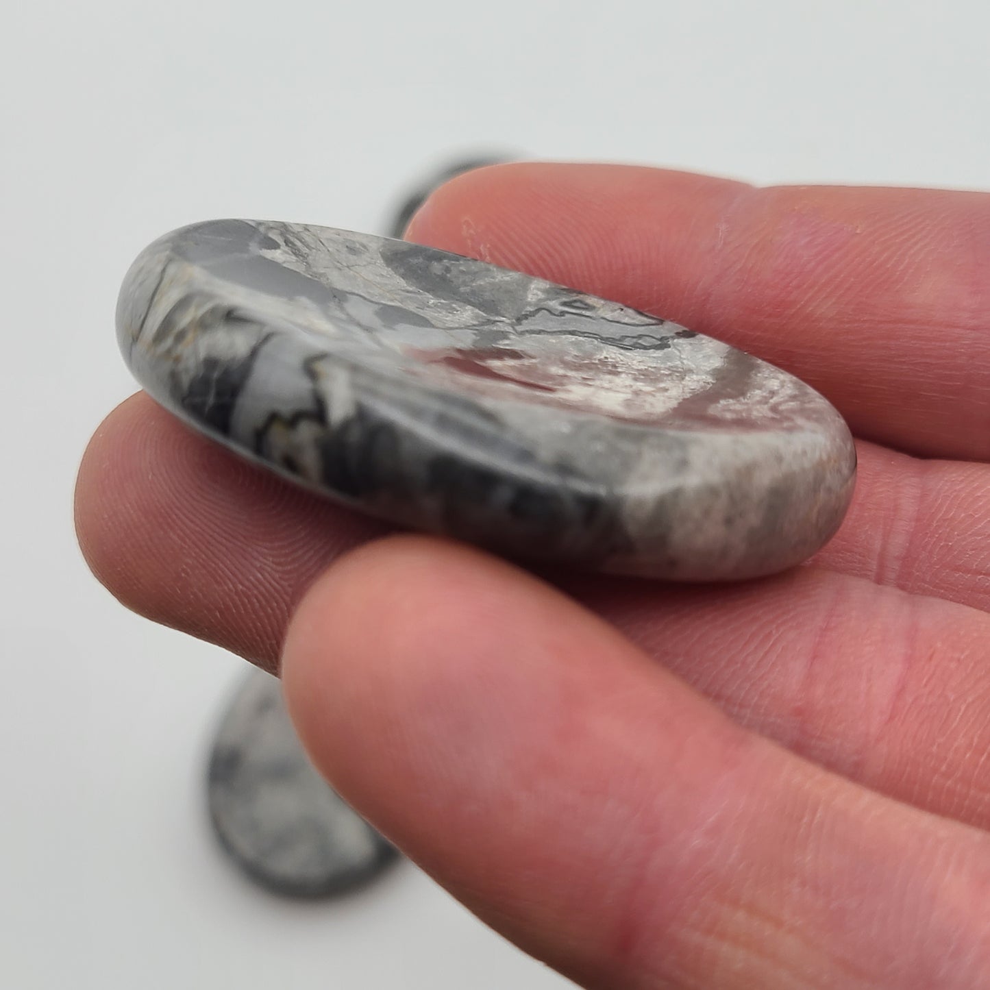 Zebra Jasper Worry Stone