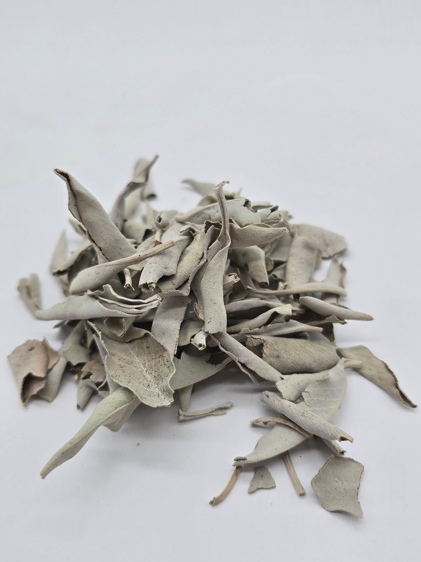 White Sage (Whole)