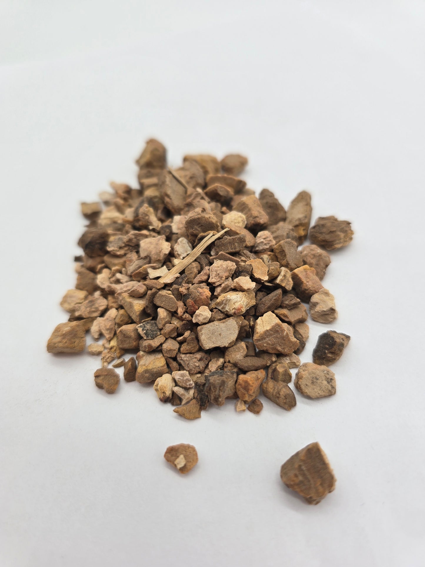 Wild Yam