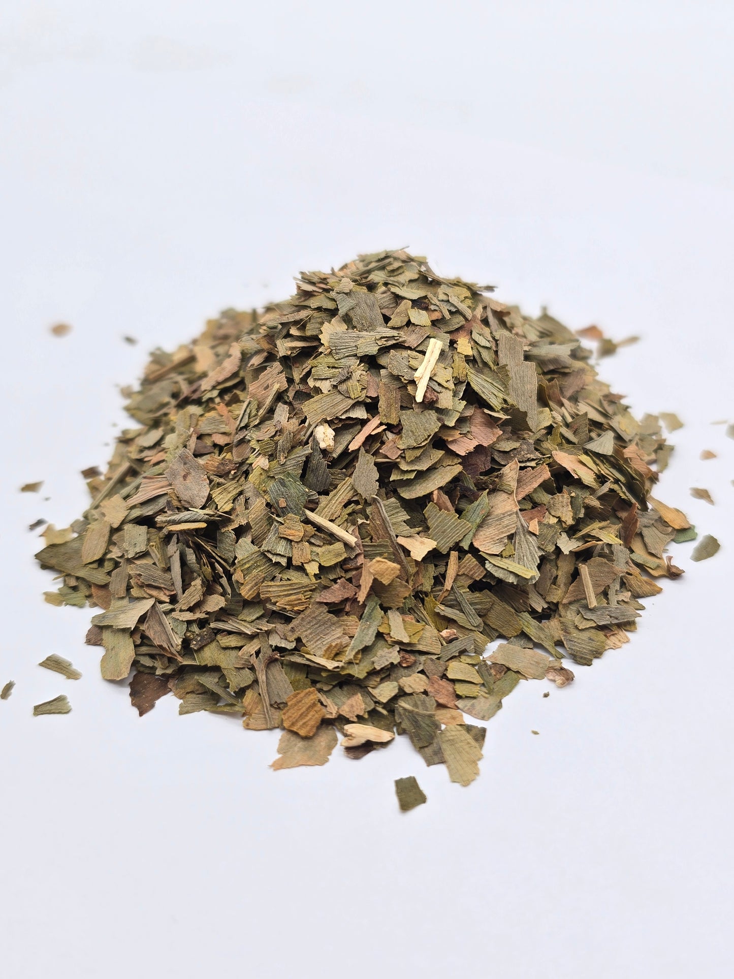 Ginkgo Leaf
