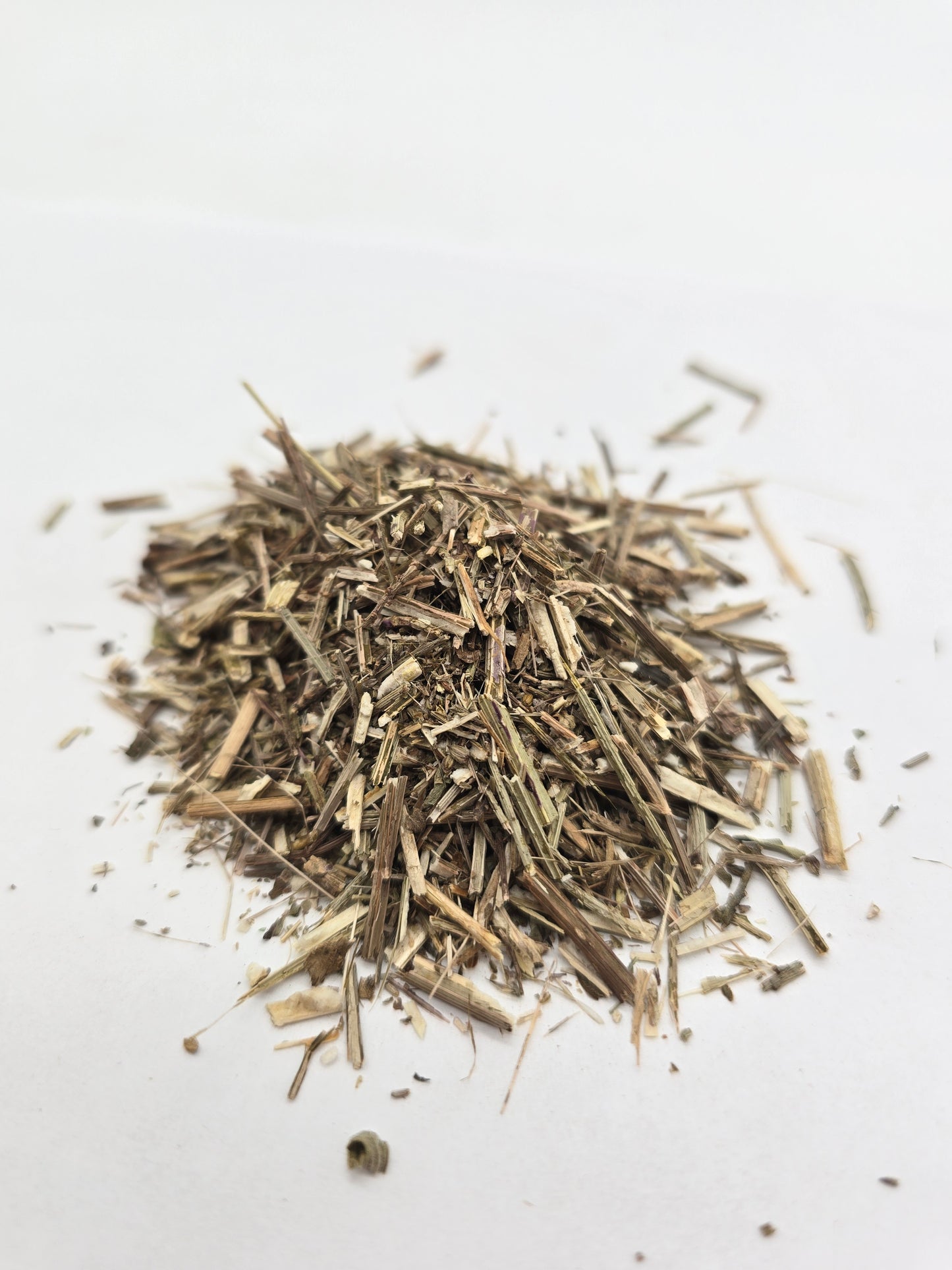 Vervain