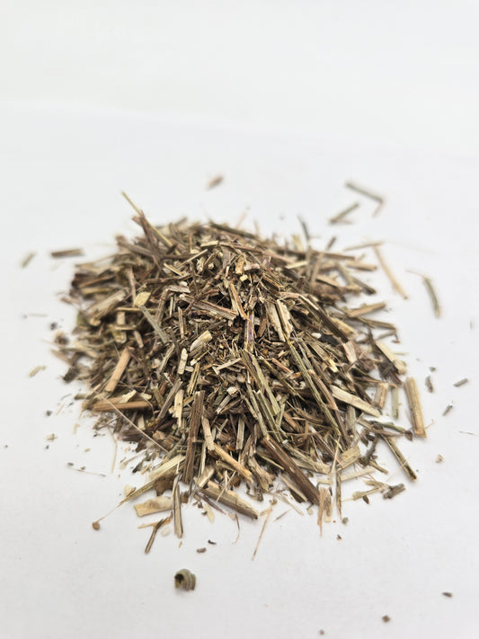 Vervain