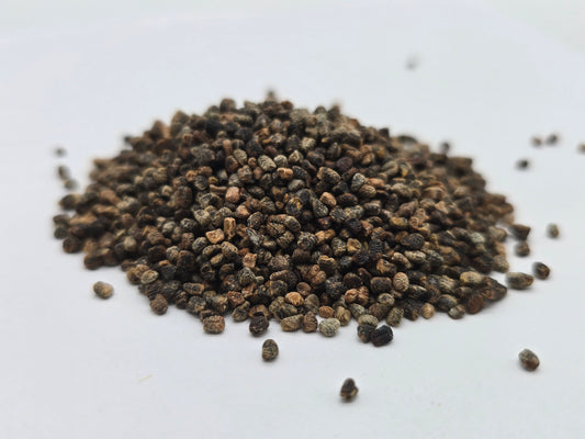 Cardamom