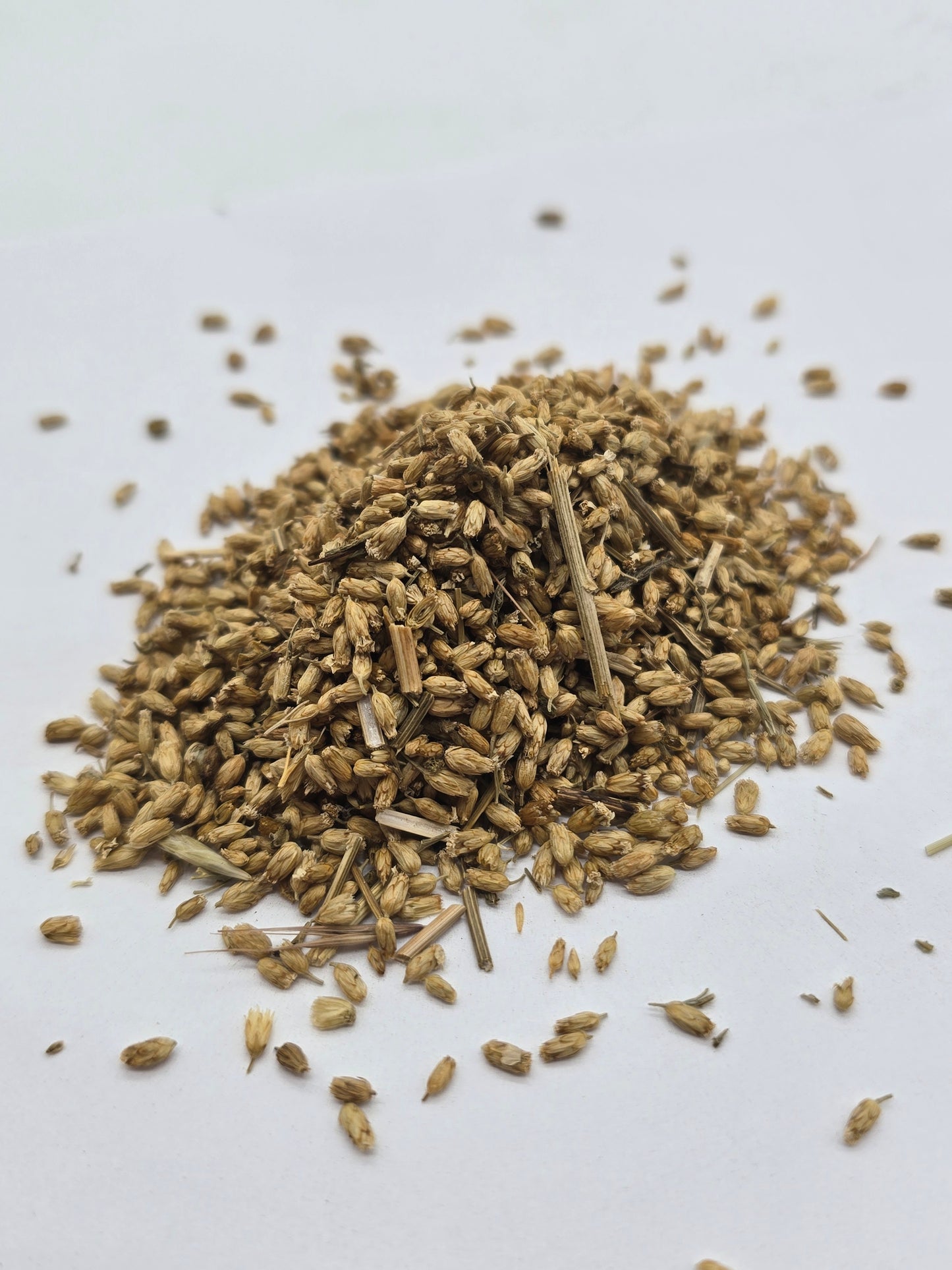 Yarrow Flower (Organic)