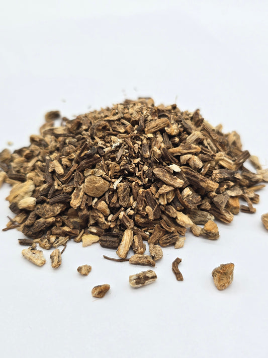 Angelica Root