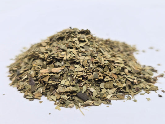 Yerba Mate (Organic)