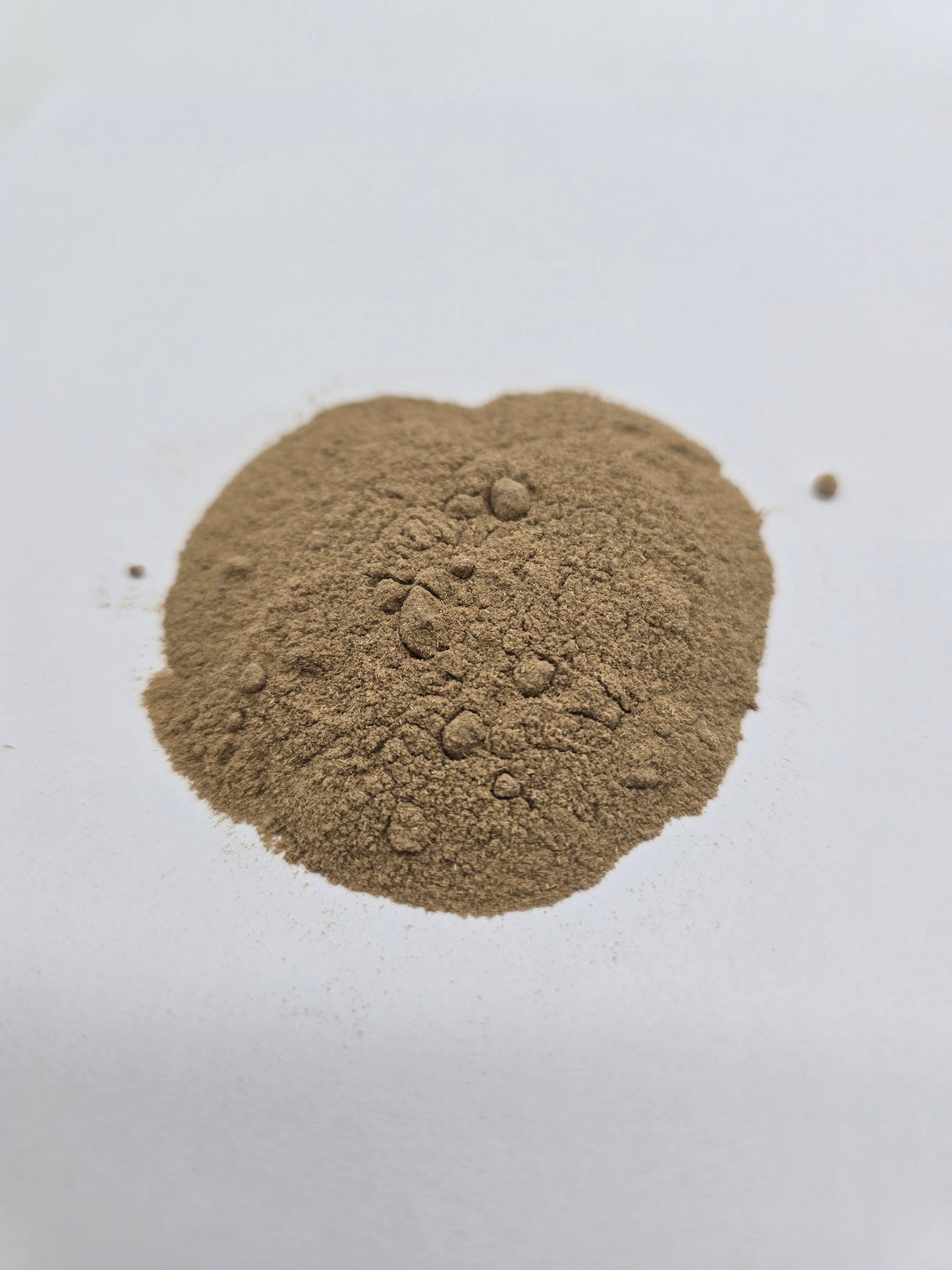 Kava Kava