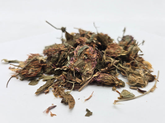 Red Clover Tops