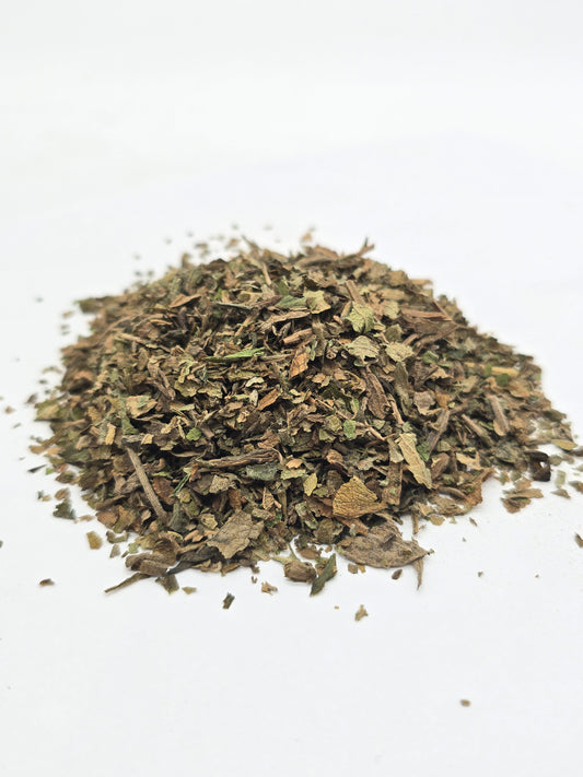 Lobelia