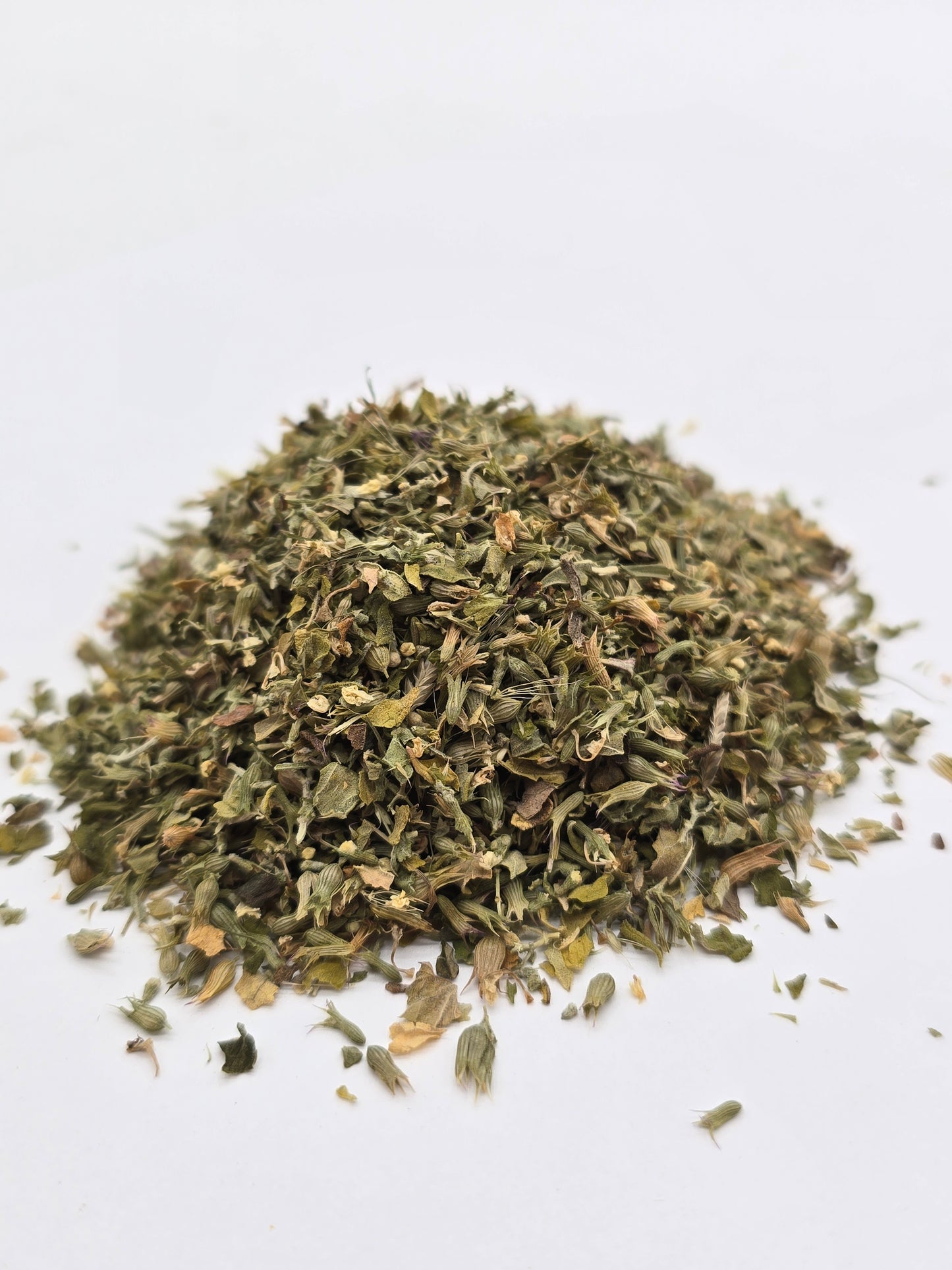 Catnip (Organic)