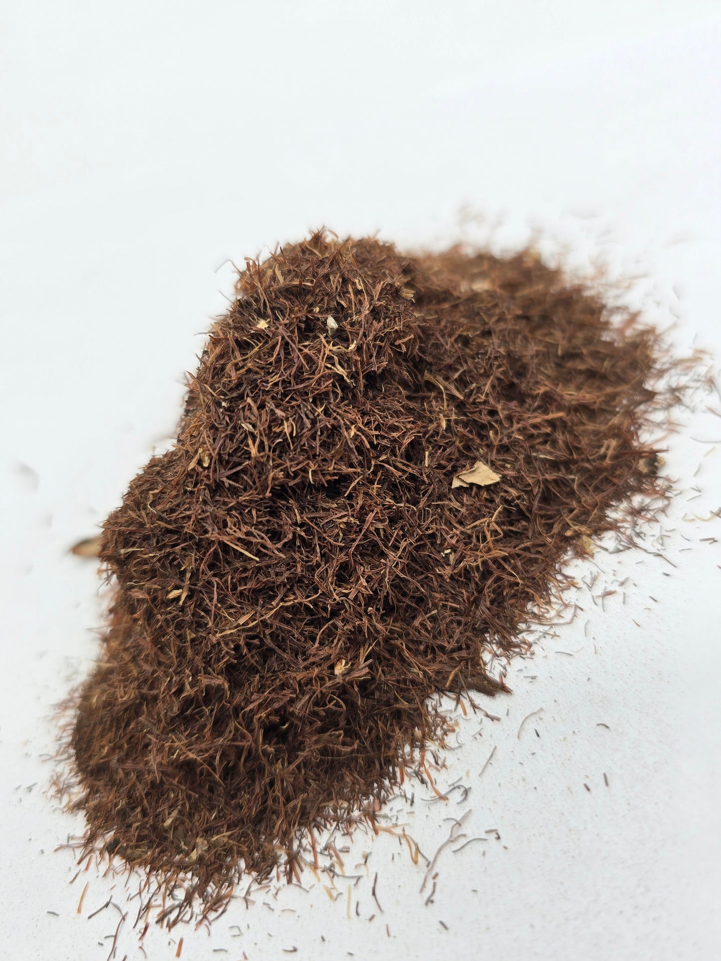 Cornsilk