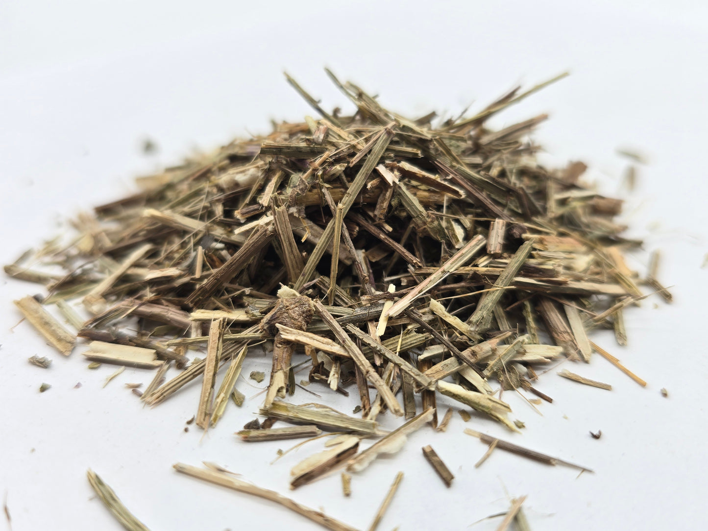 Vervain