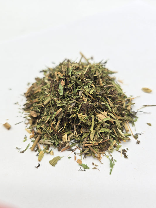 Stevia Leaf