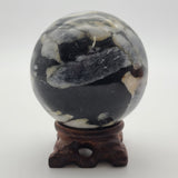 Shell Jasper Sphere