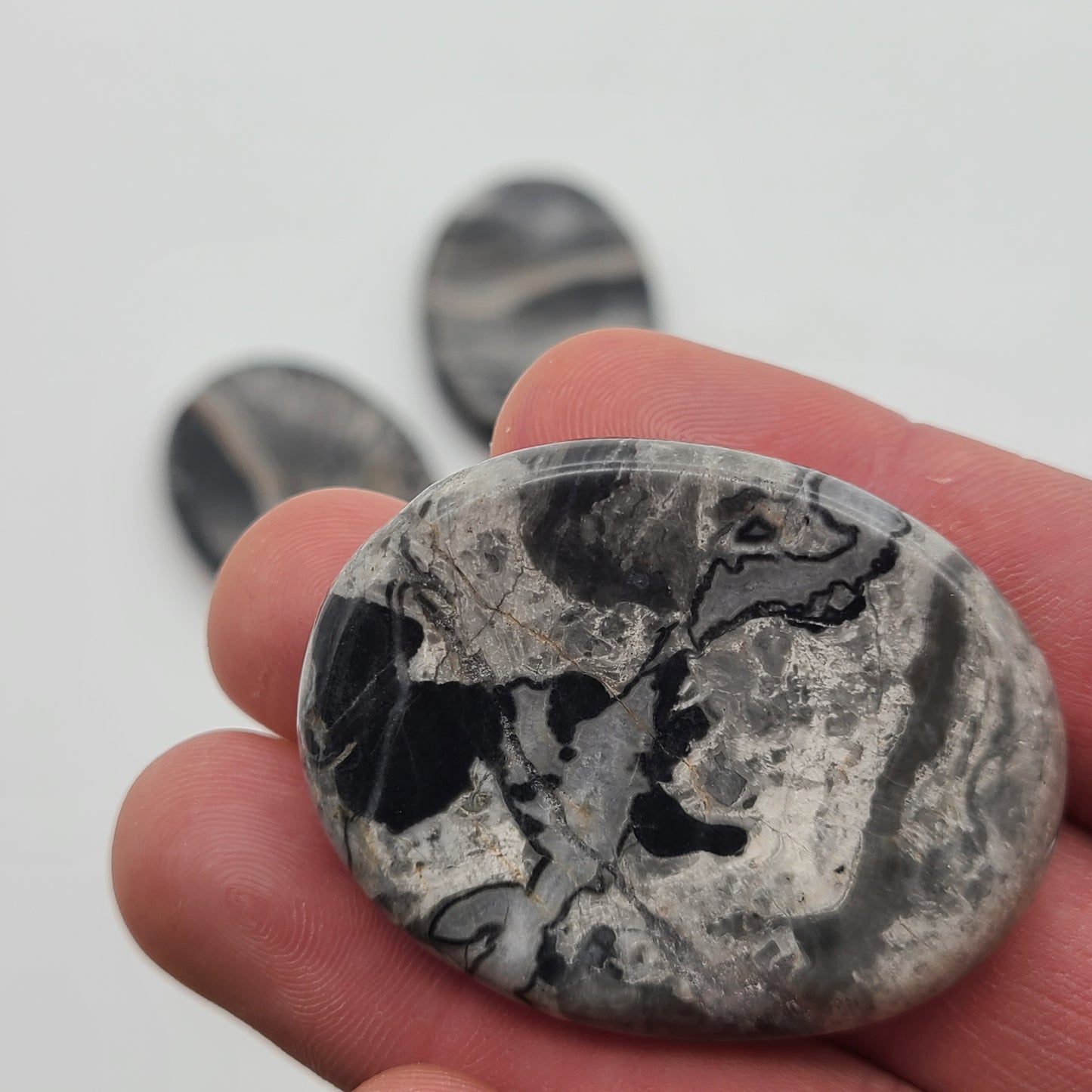 Zebra Jasper Worry Stone