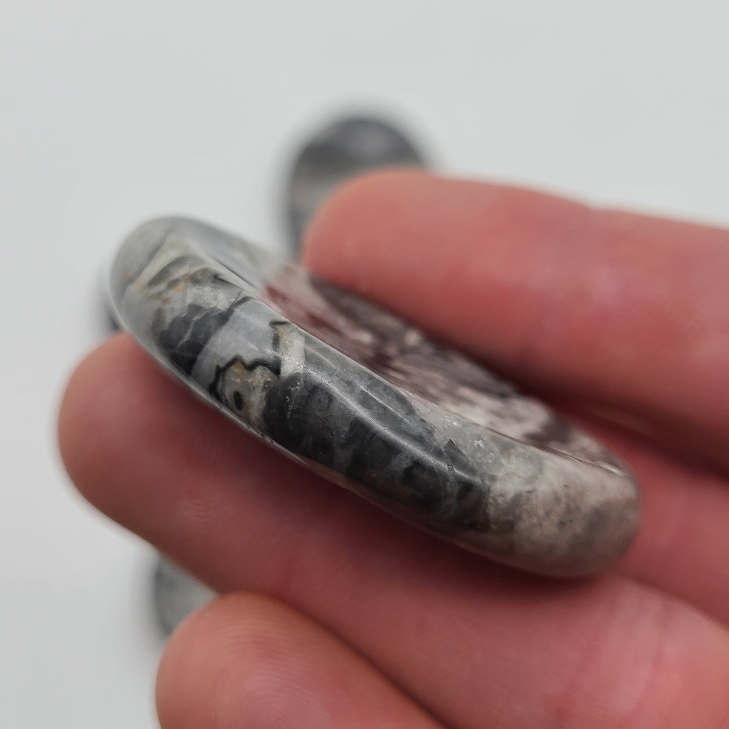 Zebra Jasper Worry Stone