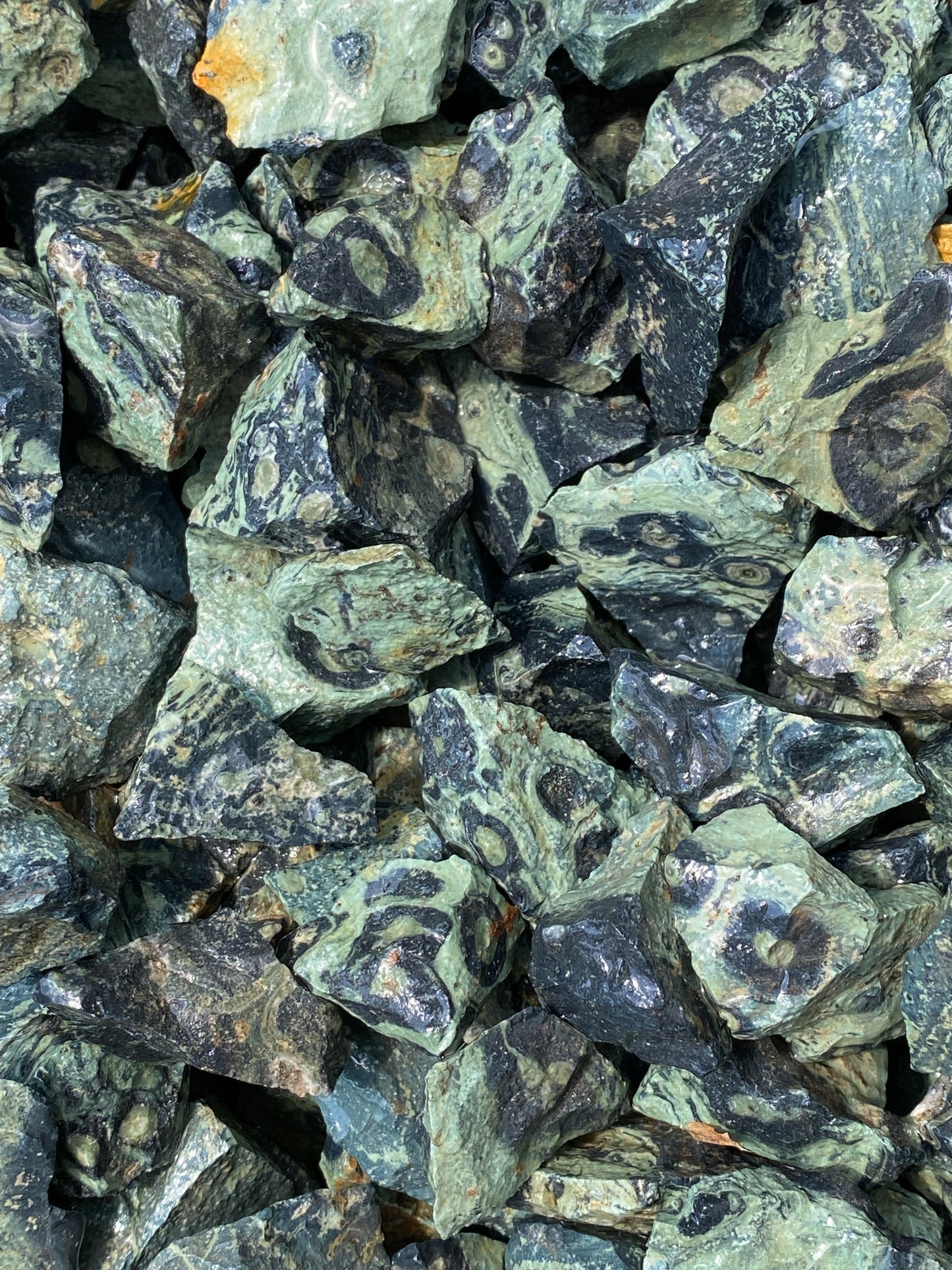 Rough Kambaba Jasper (Crocodile Jasper)