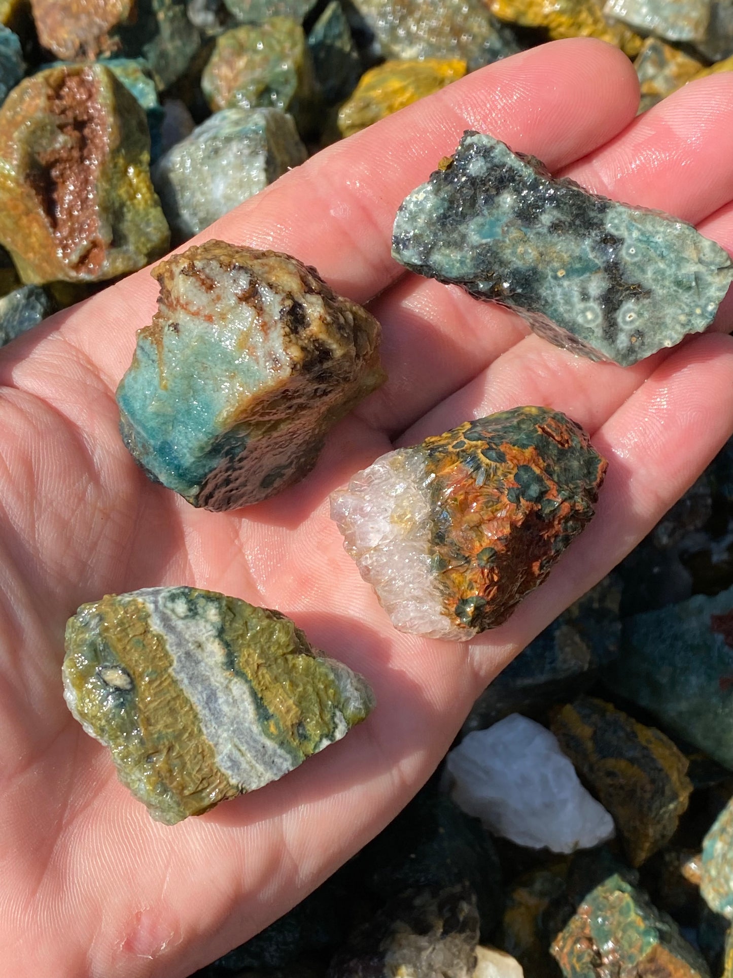 Rough Ocean Jasper (Sea Jasper)