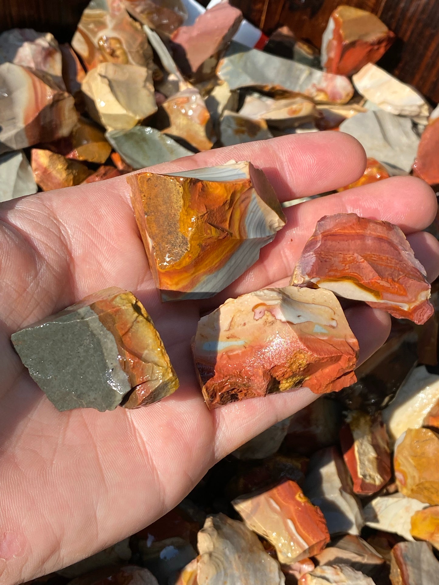 Rough Polychrome Jasper